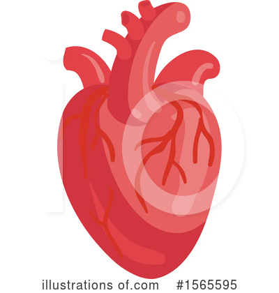 Royalty-Free (RF) Anatomy Clipart Illustration by Vector Tradition SM - Stock Sample #1565595