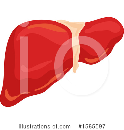 Royalty-Free (RF) Anatomy Clipart Illustration by Vector Tradition SM - Stock Sample #1565597
