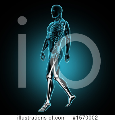 Royalty-Free (RF) Anatomy Clipart Illustration by KJ Pargeter - Stock Sample #1570002