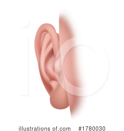 Ear Clipart #1780030 by AtStockIllustration