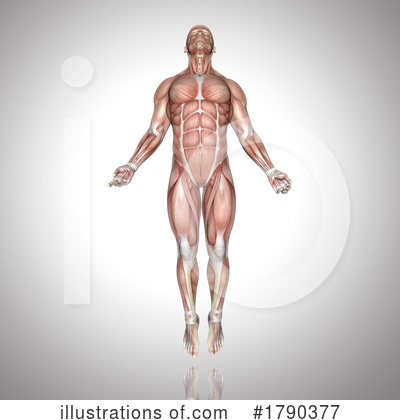 Royalty-Free (RF) Anatomy Clipart Illustration by KJ Pargeter - Stock Sample #1790377