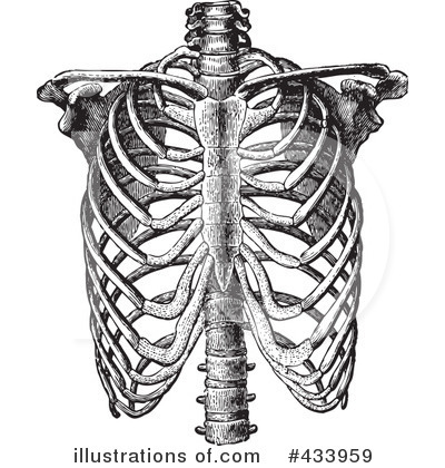 Royalty-Free (RF) Anatomy Clipart Illustration by BestVector - Stock Sample #433959