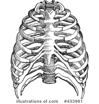 Royalty-Free (RF) Anatomy Clipart Illustration by BestVector - Stock Sample #433961