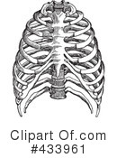 Anatomy Clipart #433961 by BestVector