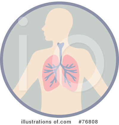 Lungs Clipart #76808 by Rosie Piter