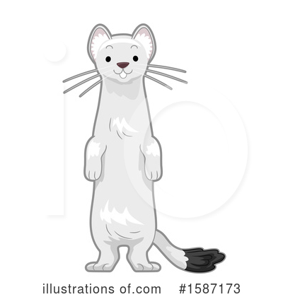 Weasel Clipart #1587173 by BNP Design Studio