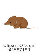Animal Clipart #1587183 by BNP Design Studio