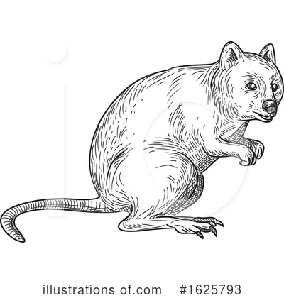 Royalty-Free (RF) Animal Clipart Illustration by patrimonio - Stock Sample #1625793
