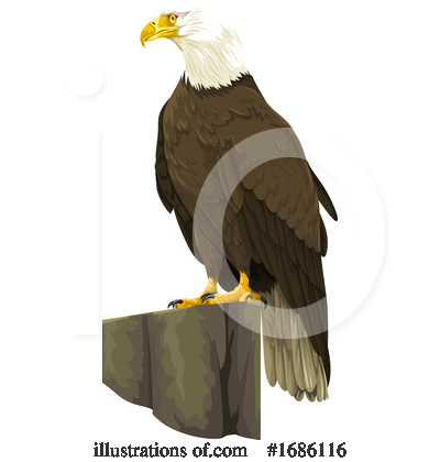 Eagle Clipart #1686116 by Morphart Creations