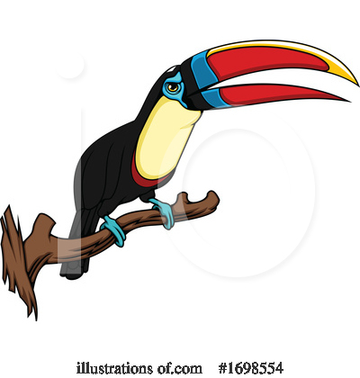 Toucan Clipart #1698554 by Vector Tradition SM