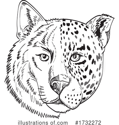 Panther Clipart #1732272 by patrimonio
