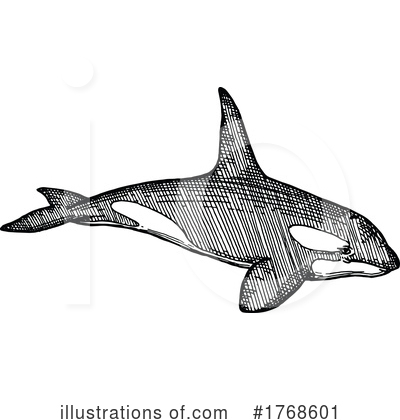 Orca Clipart #1768601 by Vector Tradition SM
