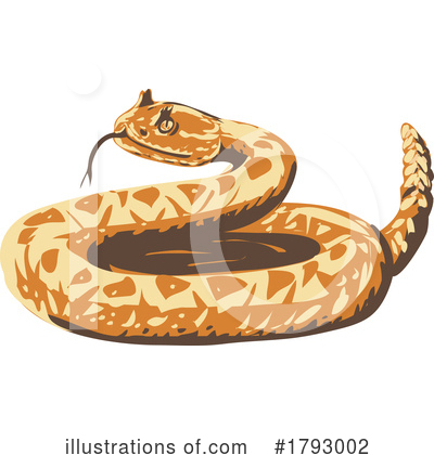 Rattlesnake Clipart #1793002 by patrimonio