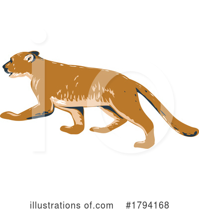 Cougar Clipart #1794168 by patrimonio