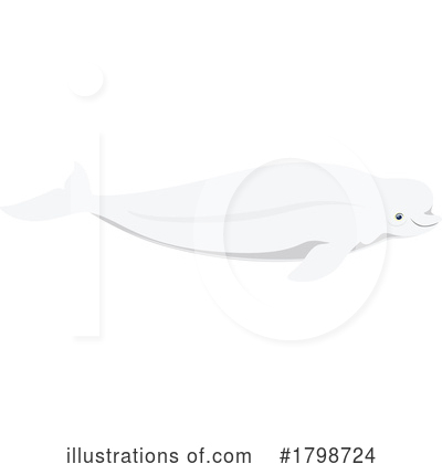Beluga Whale Clipart #1798724 by Vector Tradition SM
