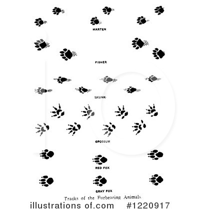 Animal Tracks Clipart #1220917 by Picsburg