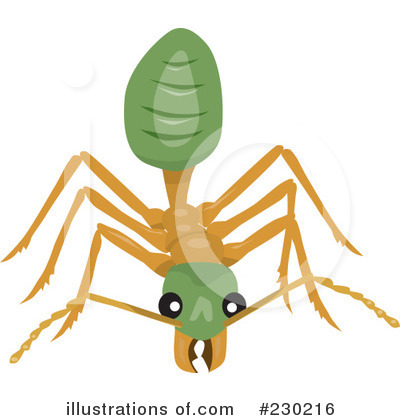 Ant Clipart #230216 by Dennis Holmes Designs