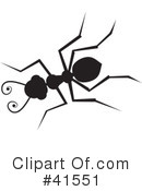 Ant Clipart #41551 by Prawny