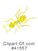 Ant Clipart #41557 by Prawny