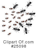 Ants Clipart #25098 by Leo Blanchette