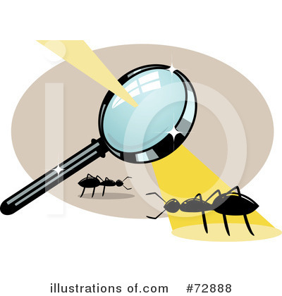 Ants Clipart #72888 by r formidable