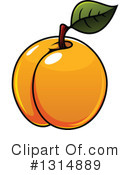 Apricot Clipart #1314889 by Vector Tradition SM