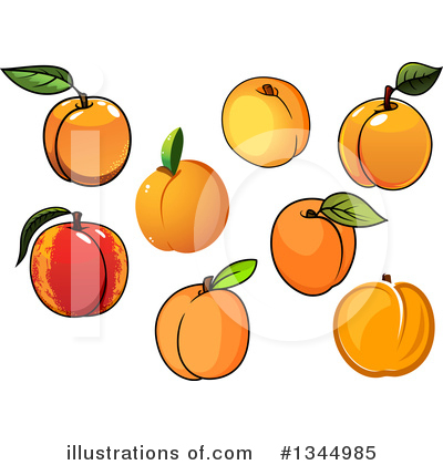 Royalty-Free (RF) Apricot Clipart Illustration by Vector Tradition SM - Stock Sample #1344985
