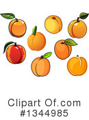 Apricot Clipart #1344985 by Vector Tradition SM