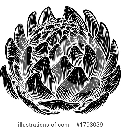 Artichoke Clipart #1793039 by AtStockIllustration