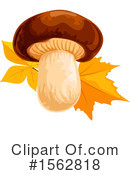 Autumn Clipart #1562818 by Vector Tradition SM