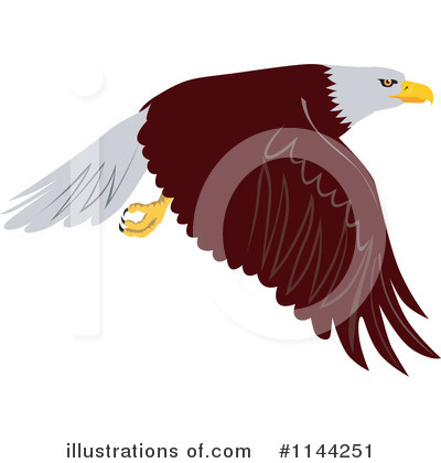 Royalty-Free (RF) Bald Eagle Clipart Illustration by patrimonio - Stock Sample #1144251