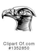 Bald Eagle Clipart #1352850 by AtStockIllustration