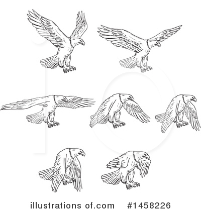 Royalty-Free (RF) Bald Eagle Clipart Illustration by patrimonio - Stock Sample #1458226
