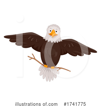 Royalty-Free (RF) Bald Eagle Clipart Illustration by BNP Design Studio - Stock Sample #1741775