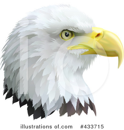 Royalty-Free (RF) Bald Eagle Clipart Illustration by AtStockIllustration - Stock Sample #433715