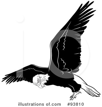 Royalty-Free (RF) Bald Eagle Clipart Illustration by dero - Stock Sample #93810