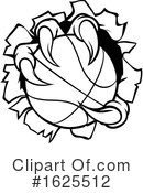 Basketball Clipart #1625512 by AtStockIllustration