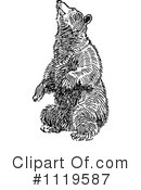 Bear Clipart #1119587 by Prawny Vintage