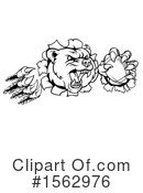 Bear Clipart #1562976 by AtStockIllustration
