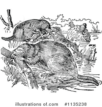 Royalty-Free (RF) Beaver Clipart Illustration by Prawny Vintage - Stock Sample #1135238