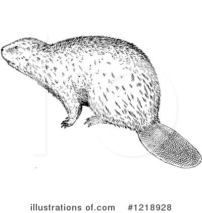 Royalty-Free (RF) Beaver Clipart Illustration by Picsburg - Stock Sample #1218928