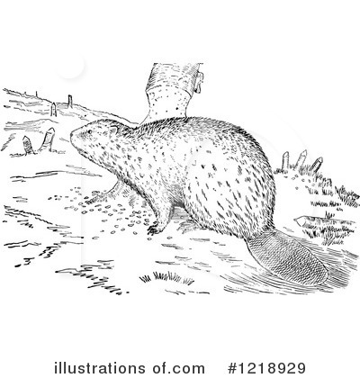 Royalty-Free (RF) Beaver Clipart Illustration by Picsburg - Stock Sample #1218929
