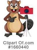Beaver Clipart #1660440 by Morphart Creations