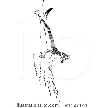 Weasel Clipart #1127141 by Prawny Vintage