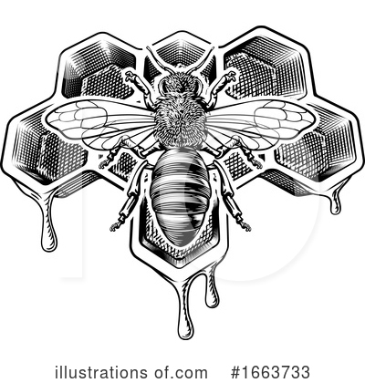Honeycomb Clipart #1663733 by AtStockIllustration