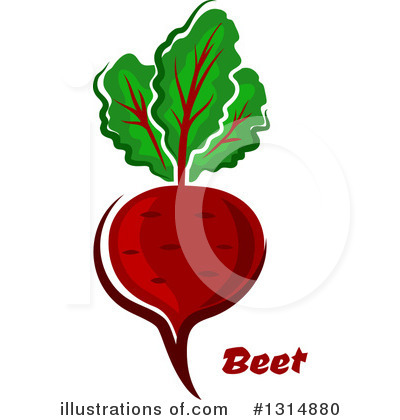 Royalty-Free (RF) Beet Clipart Illustration by Vector Tradition SM - Stock Sample #1314880