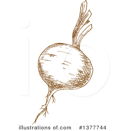 Royalty-Free (RF) Beet Clipart Illustration by Vector Tradition SM - Stock Sample #1377744