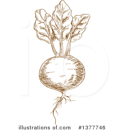 Royalty-Free (RF) Beet Clipart Illustration by Vector Tradition SM - Stock Sample #1377746