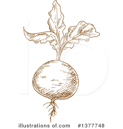 Royalty-Free (RF) Beet Clipart Illustration by Vector Tradition SM - Stock Sample #1377748