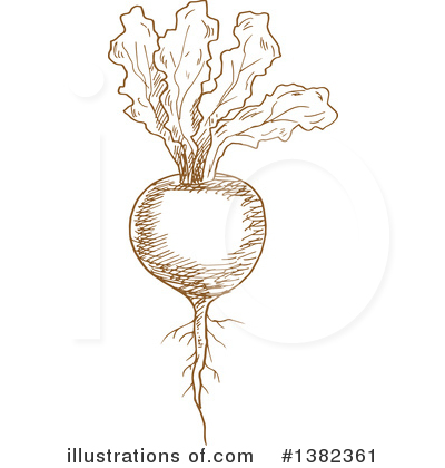 Royalty-Free (RF) Beet Clipart Illustration by Vector Tradition SM - Stock Sample #1382361